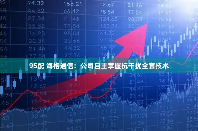 95配 海格通信：公司自主掌握抗干扰全套技术