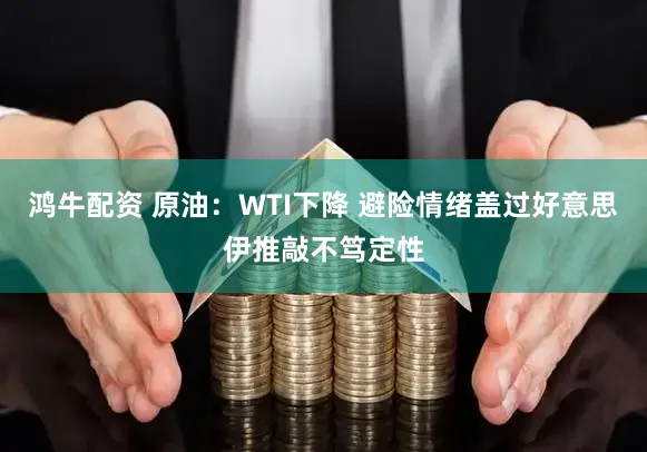 鸿牛配资 原油：WTI下降 避险情绪盖过好意思伊推敲不笃定性