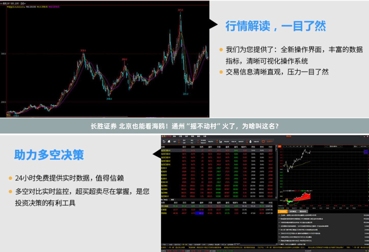 长胜证券 北京也能看海鸥！通州“摇不动村”火了，为啥叫这名？