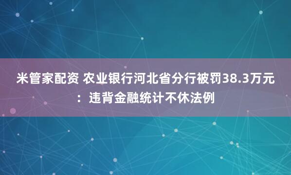 米管家配资 农业银行河北省分行被罚38.3万元：违背金融统计不休法例