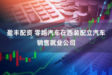 盈丰配资 零跑汽车在西装配立汽车销售就业公司