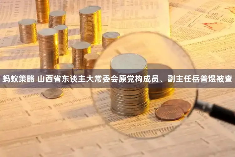 蚂蚁策略 山西省东谈主大常委会原党构成员、副主任岳普煜被查