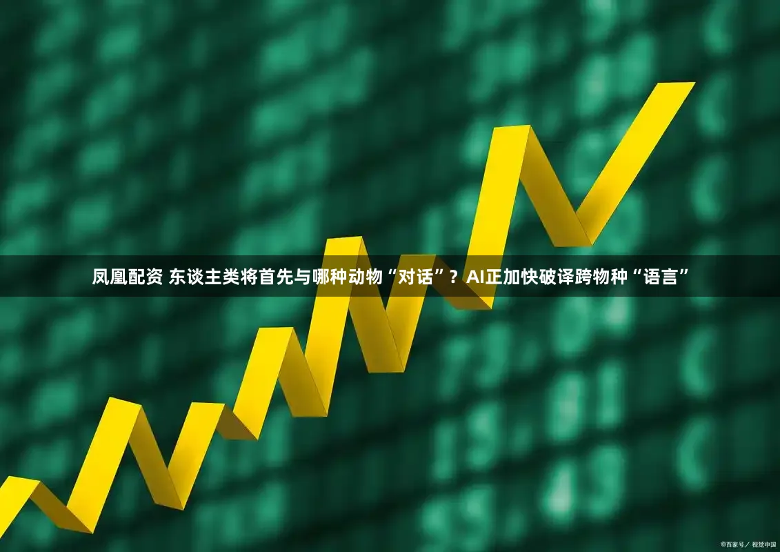 凤凰配资 东谈主类将首先与哪种动物“对话”?AI正加快破译跨物种“语言”