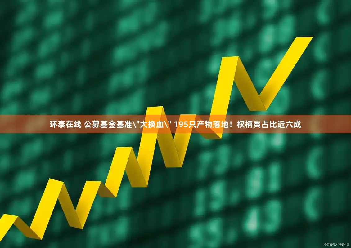 环泰在线 公募基金基准